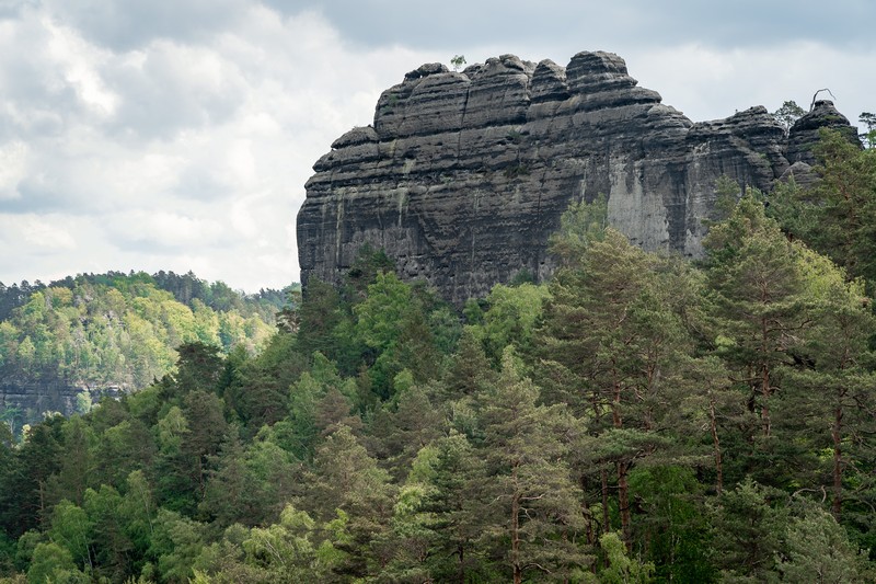 Typisch Sächsische Schweiz: Mächtige Sandsteinfelsen Thronen über den grünen Nadelwäldern empor.