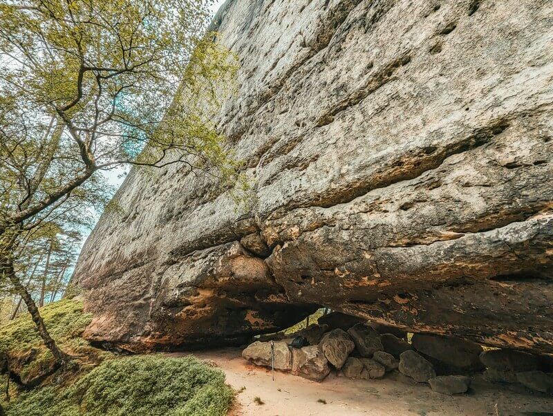 Die Sommerwand in der Sächsischen Schweiz von Nahem.