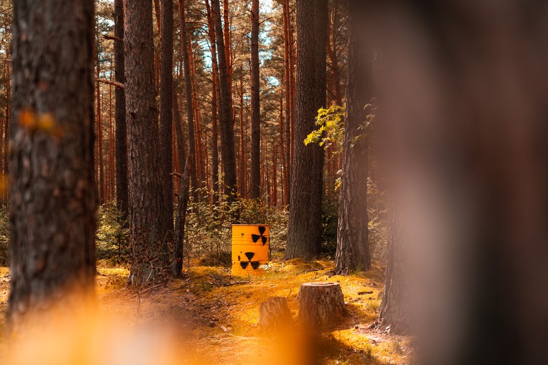 Kunstobjekt: Atommüllfass im Wald in Gorleben