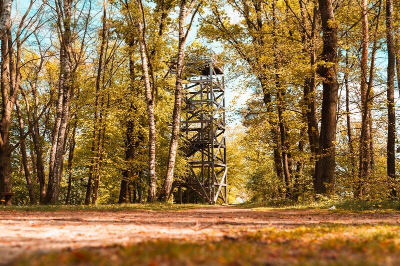 Aussichtsturm am Aussichtspunkt Kniepenberg