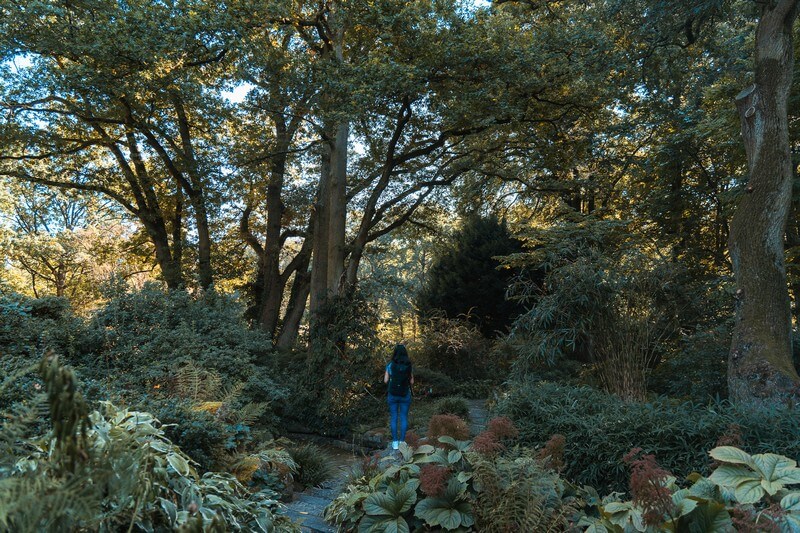 Rhododendron-Park in Bremen