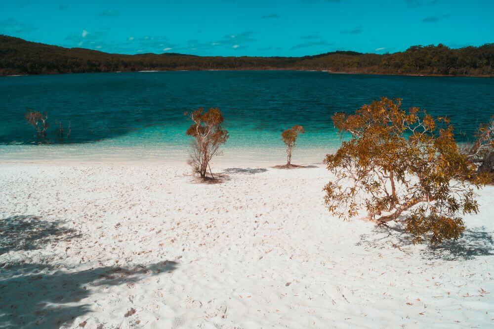 Der Lake McKenzie ist eines der Highlights auf Fraser Island.