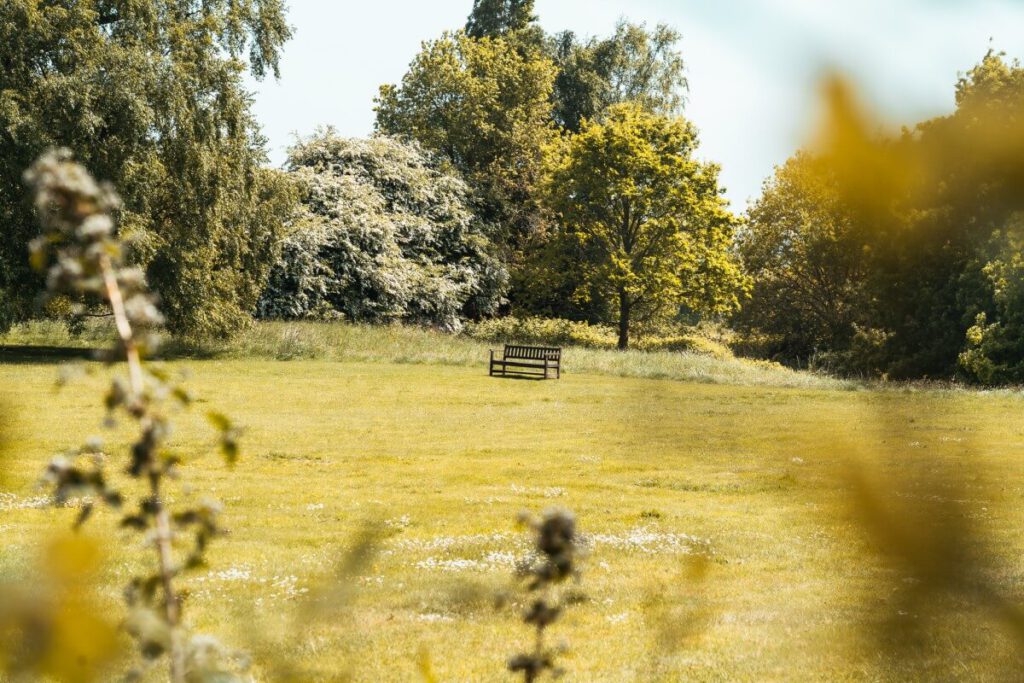 Garten des Manor d'Ango