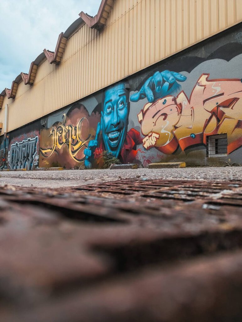 Darwin Ecosystem Bordeaux Grafitti an einer Halle