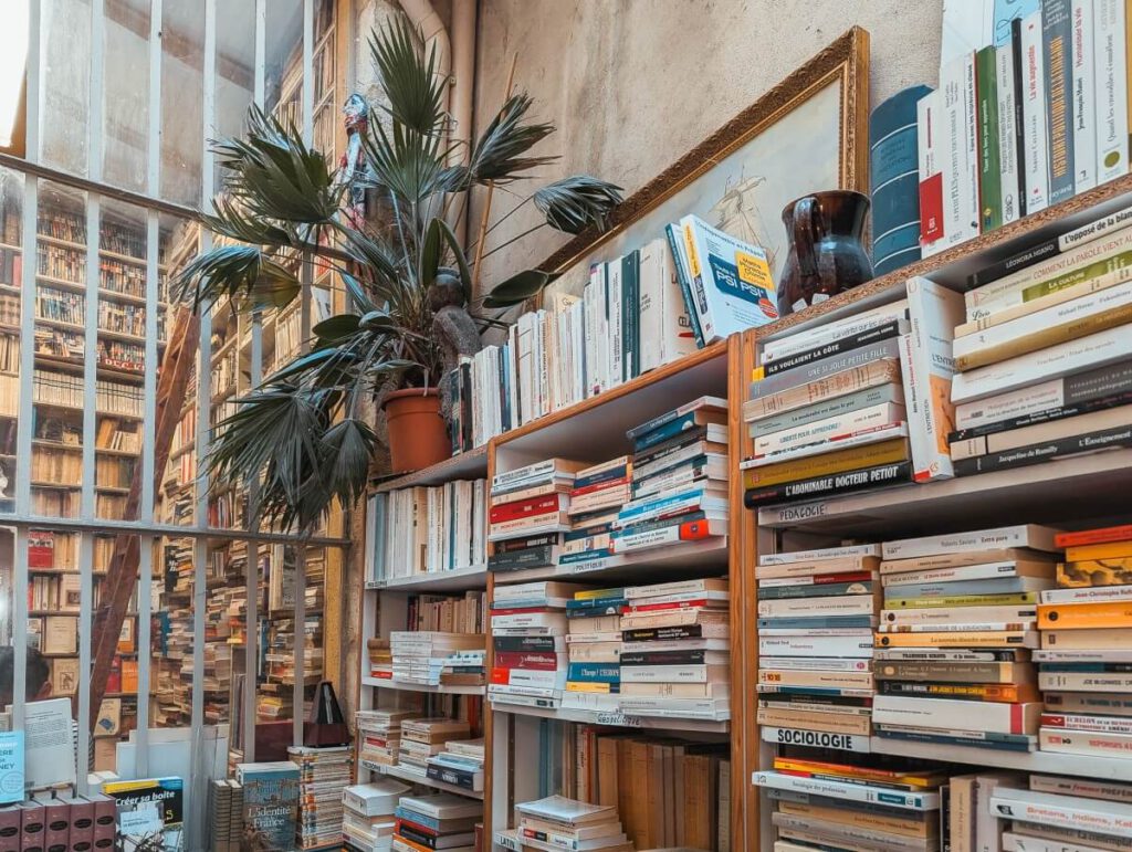 Librairie La nuit des rois in Bordeaux