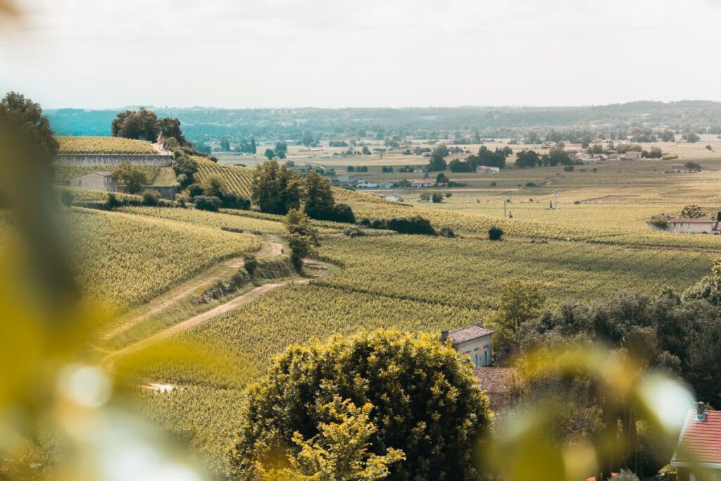 Weinberge um Saint-Emilion