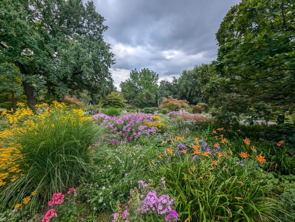 Pflanzen und Blumen im Park Planten und Blomen