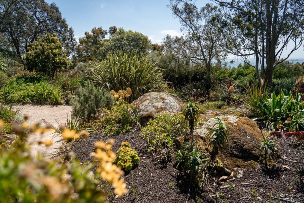 Botanischer Garten von Roscoff in der Bretagne