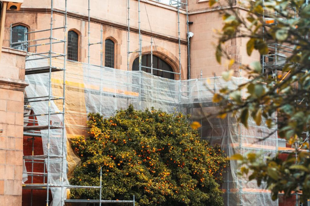 Orangenbaum am Palast Miramar Jauregia