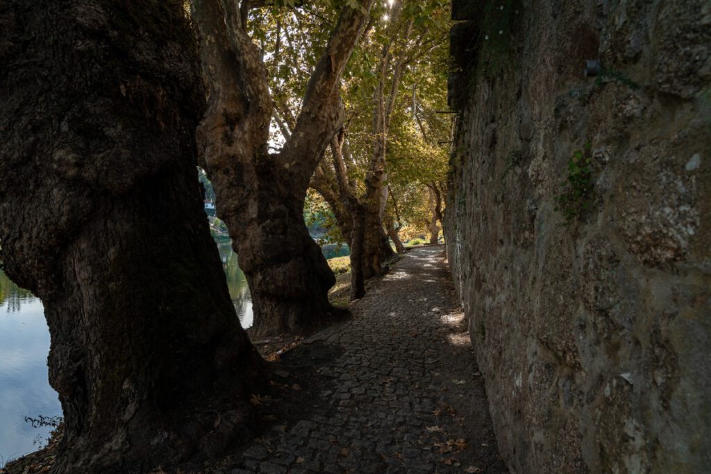 Amarante Tamega Uferweg