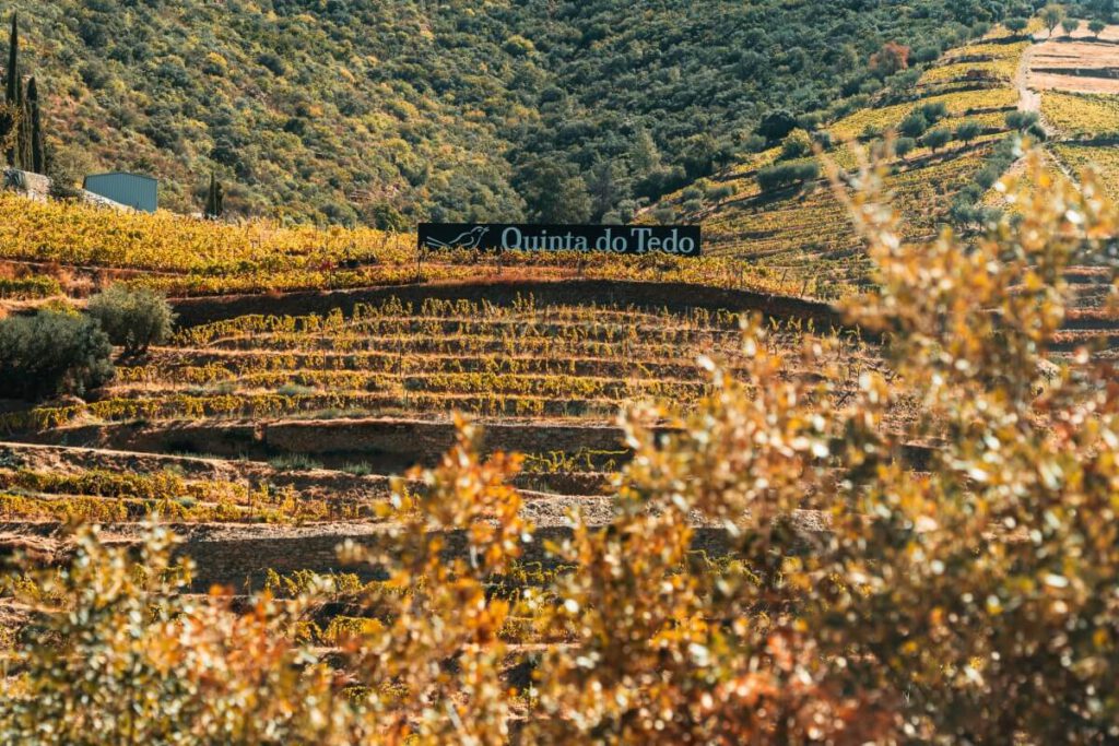 Quinta do Tedo Schild am Weinberghang im Douro-Tal