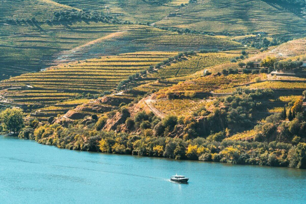 Douro Ufer Terrassen Weinberge