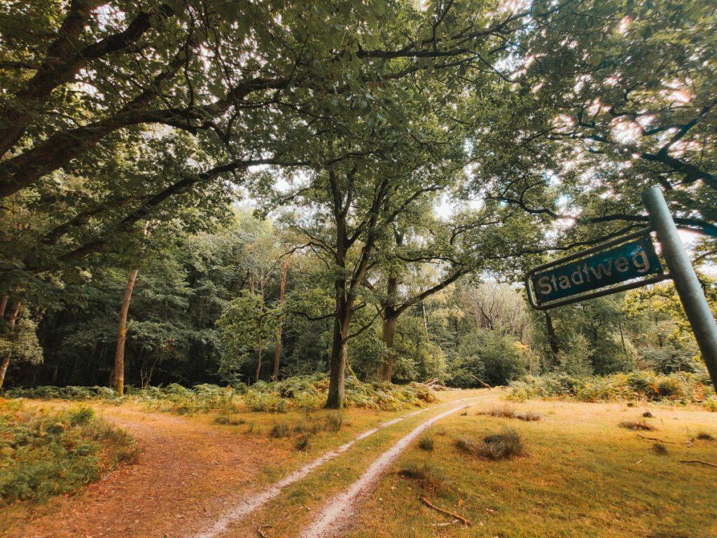 Waldpfad mit Hamburger Straßenschild