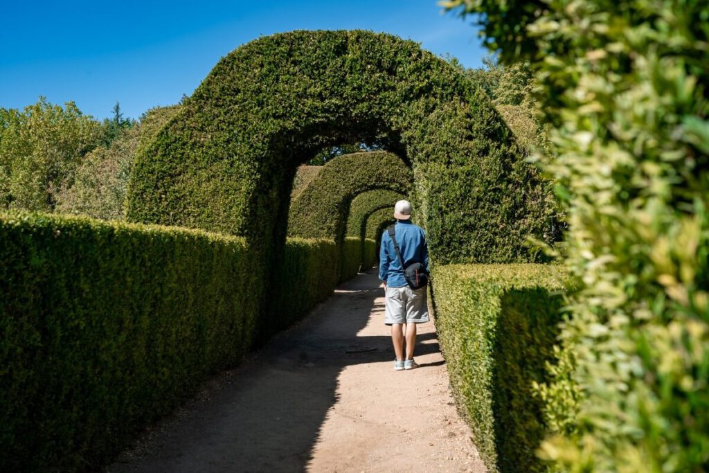 Hecken im Mateus Palast