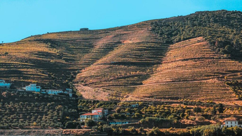 Ausblick auf die steilen Weinterrassen von der Dourostraße N222