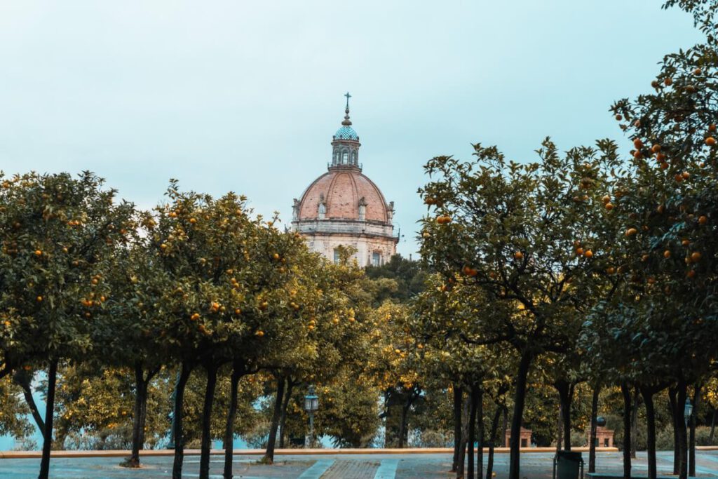 Orangenbäume vor dem Alcazar.