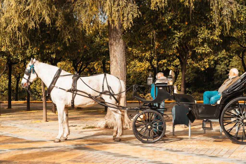 Pferdekutsche in Jerez de la Frontera