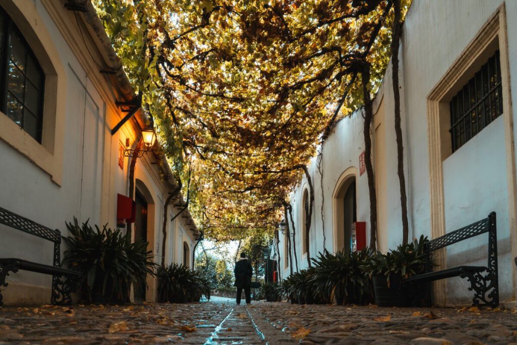 Mann steht in Weintunnel Gasse in Tío Pepe Bodega