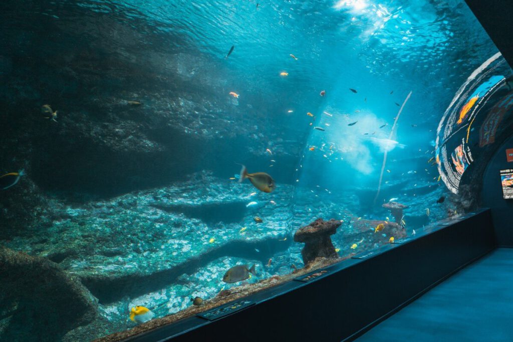 Biarritz Aquarium RundAquarium