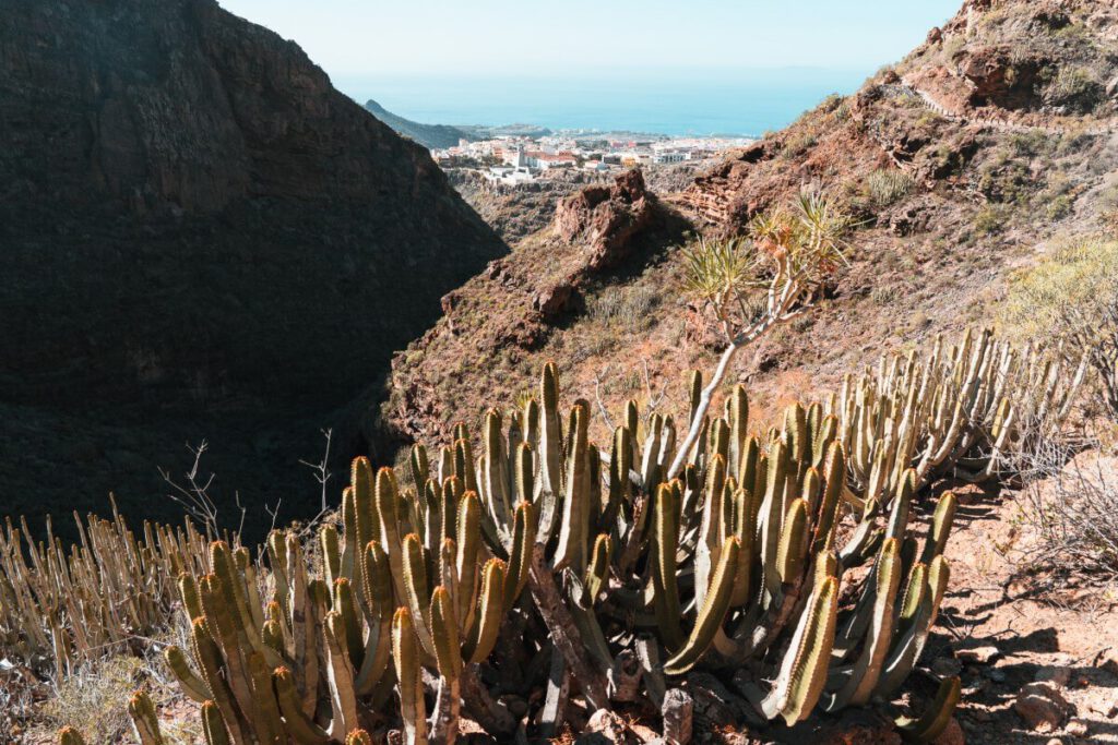Barranco del infierno: Blick auf Küste
