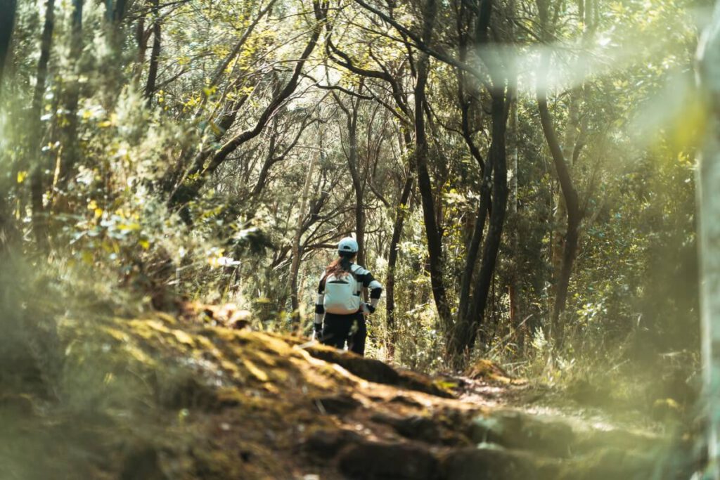 Wanderin genießt die Stille des Waldes
