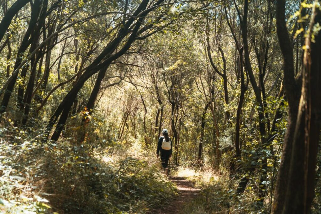 Wanderin läuft durch dichten Wald
