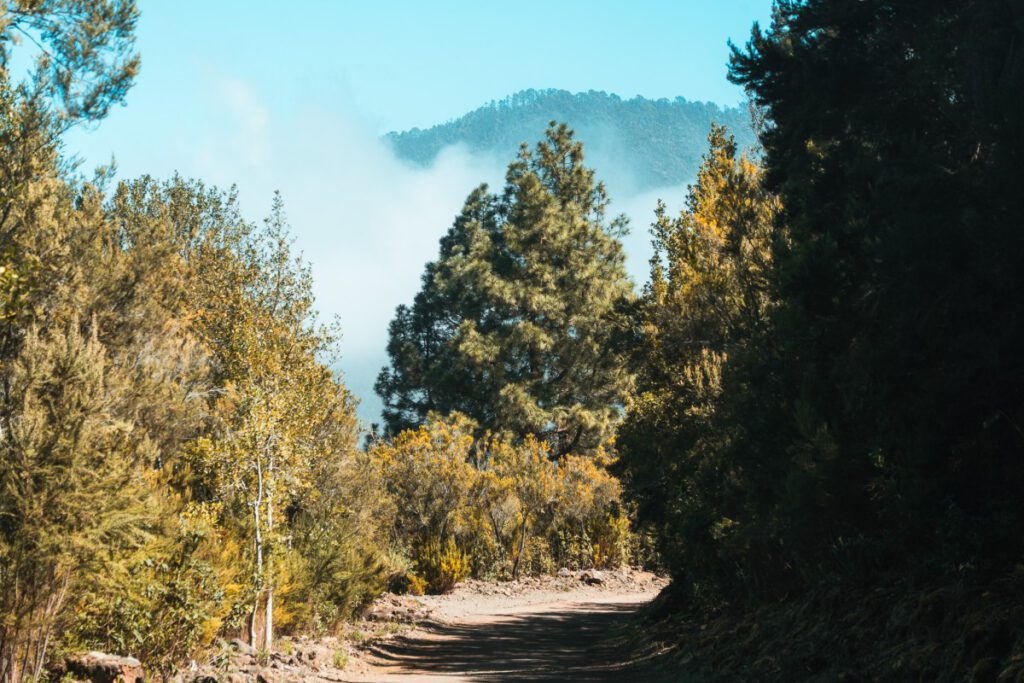 Feldweg auf Teneriffa