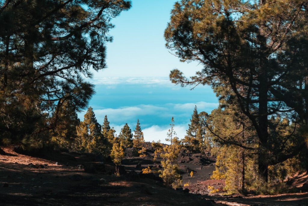 Blick auf das Meer vom Abeque-Bergkamm