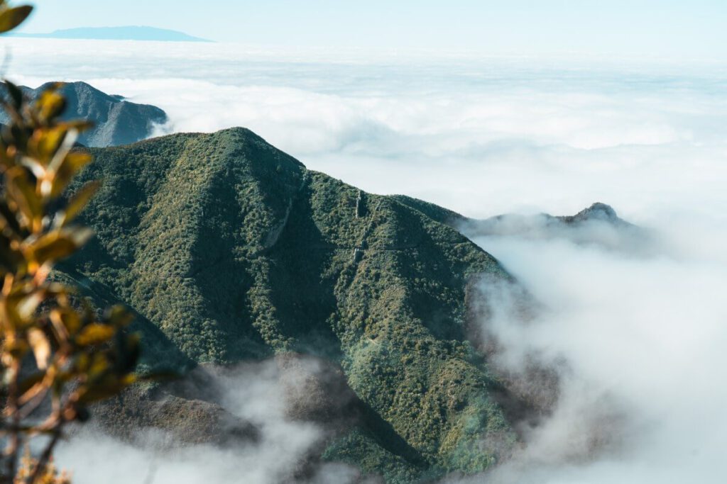 Wolken auf einem grünen Berghang im Teno Gebirge
