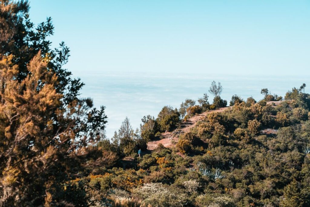 Wanderweg am Monte Agua