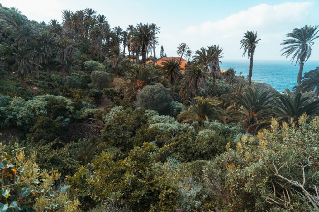 Casonas de los Castros 