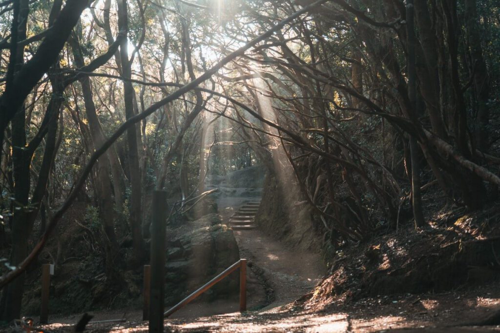 Weg der Sinne Lichteinfall