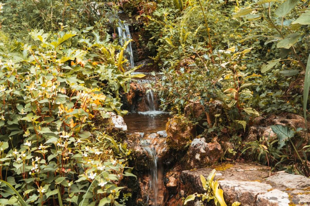 Wasserfall im Botanischen Garten von Bayonne 