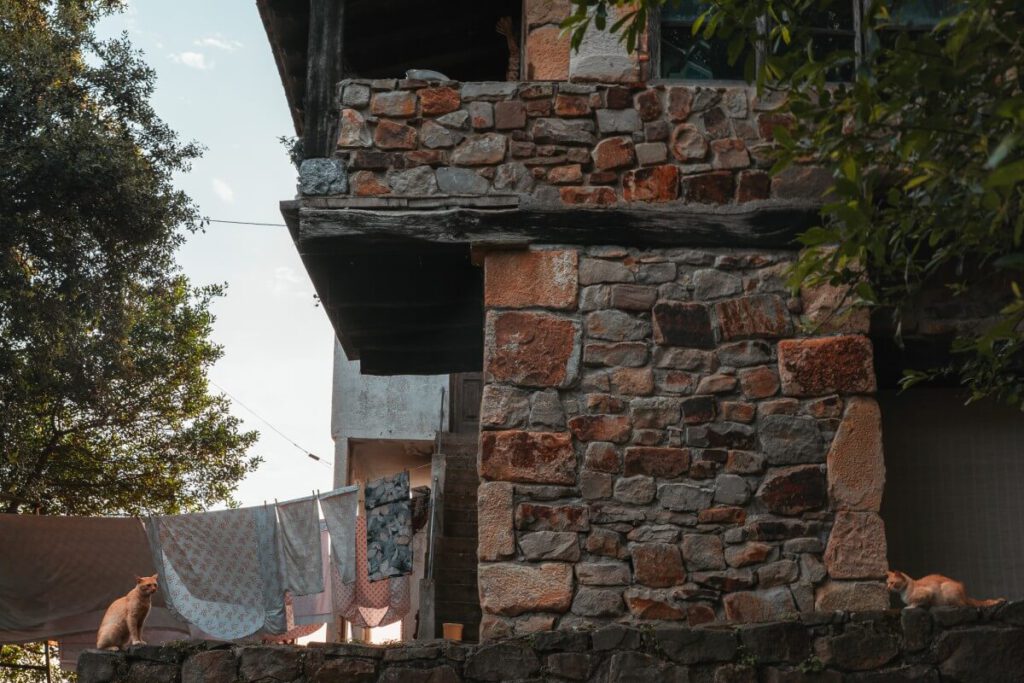 Katzen neben einem Restaurant von Gaztelugatxe