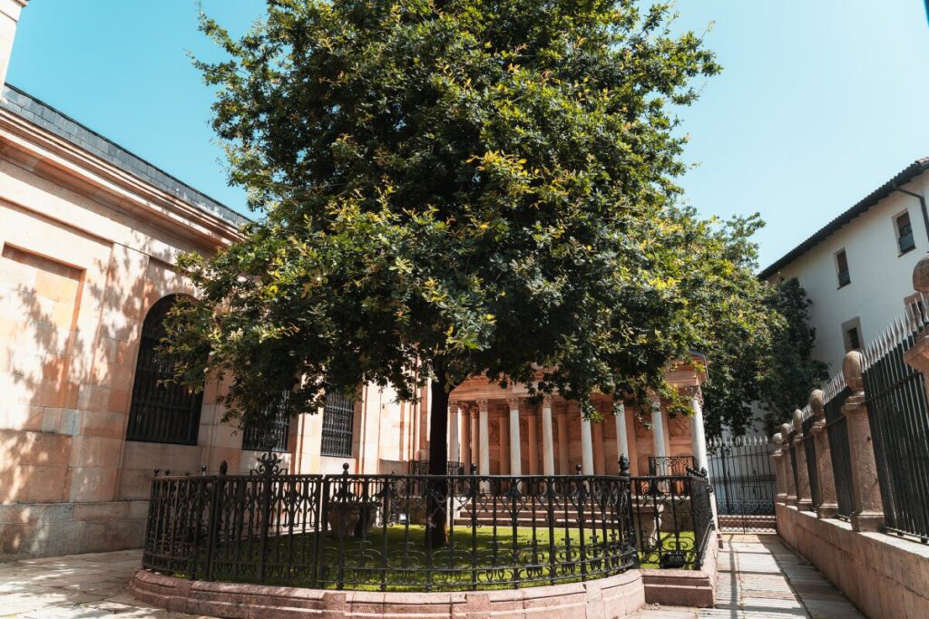 Baum von Gernika, die heilige Eiche vor dem Versammlungshaus Casa de Juntas im Baskenland