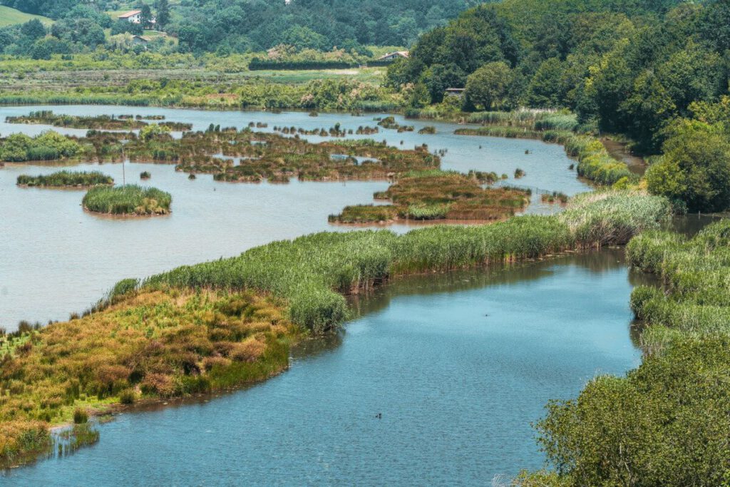 Urdaibai Bird Center
