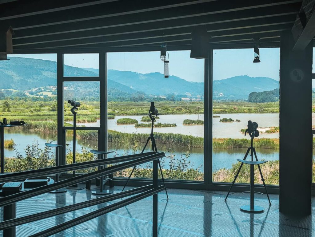 Vogel-Ferngläser im Urdaibai Bird Center am Beobachtungsfenster