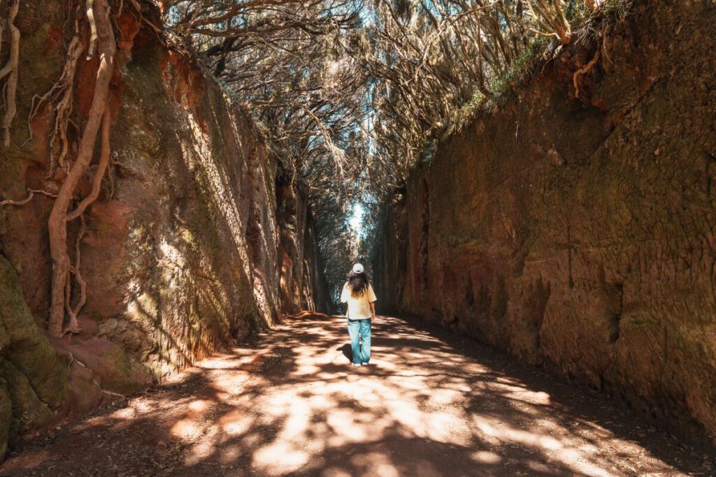 Frau steht im Feentunnel (Tunel de las hadas) im Anaga Park auf Teneriffa