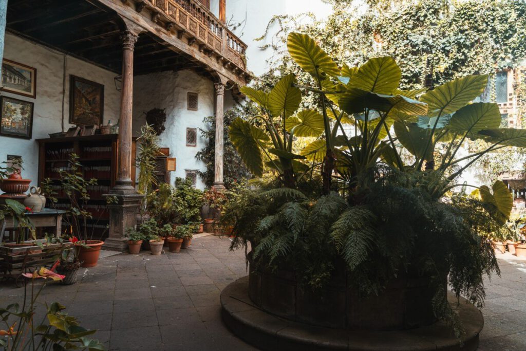 Tropische Pflanzen im Innenhof des Casa de los Balcones
