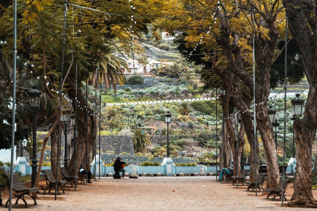 Icod de los Vinos Plaza de Andres de Lorenzo Caceres