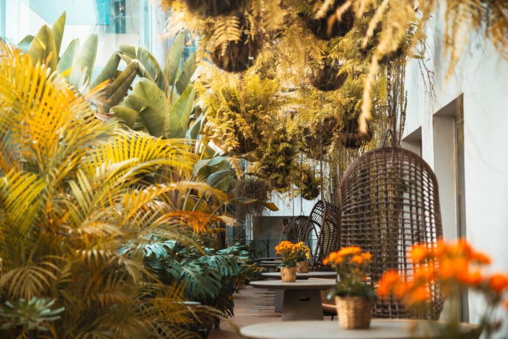 Grüne Pflanzen neben den Zimmern im Hotel. La Laguna Gran Hotel.