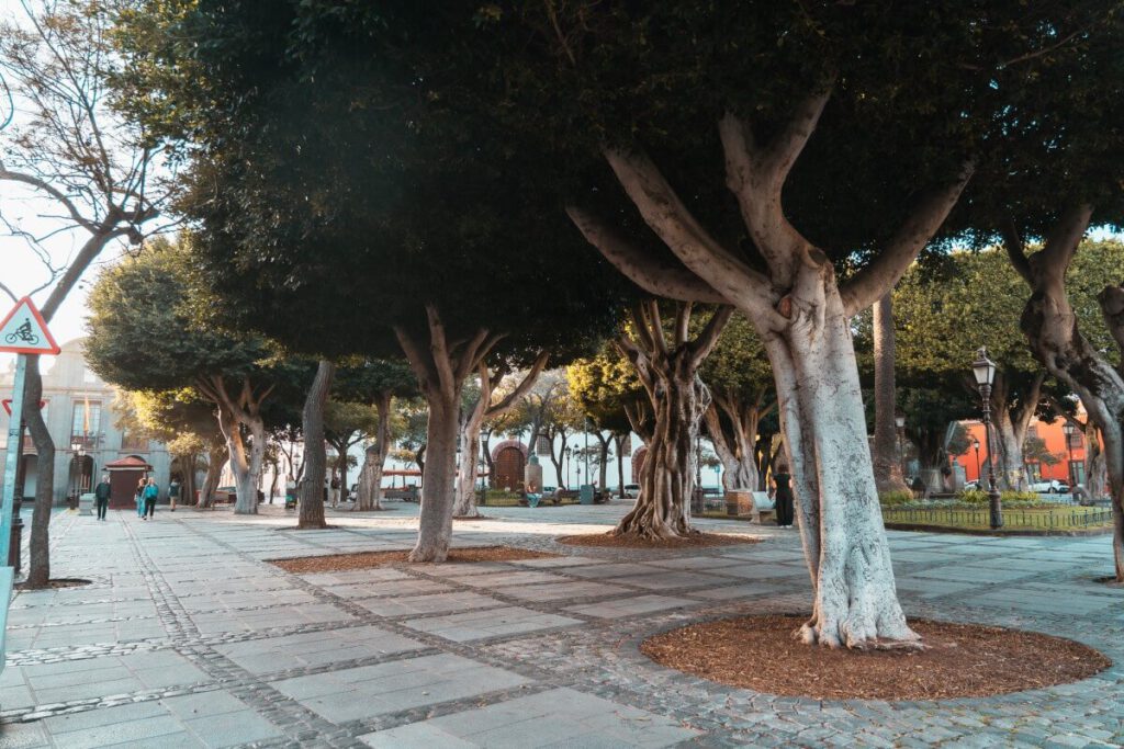 Plaza del Adelantado in La Laguna