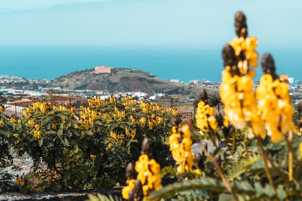 Mirador de los Balcones in La Orotava