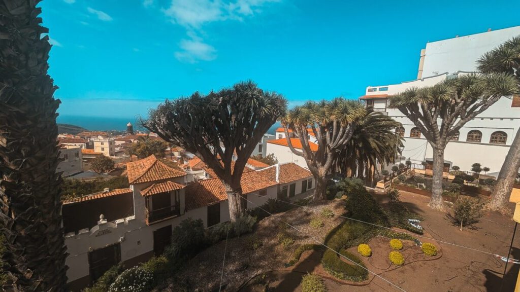 La Orotava El Bosquito de Dragos