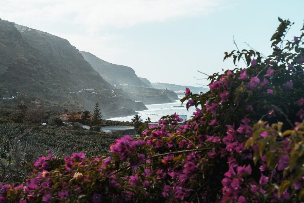 Playa Castro Kuestenblick
