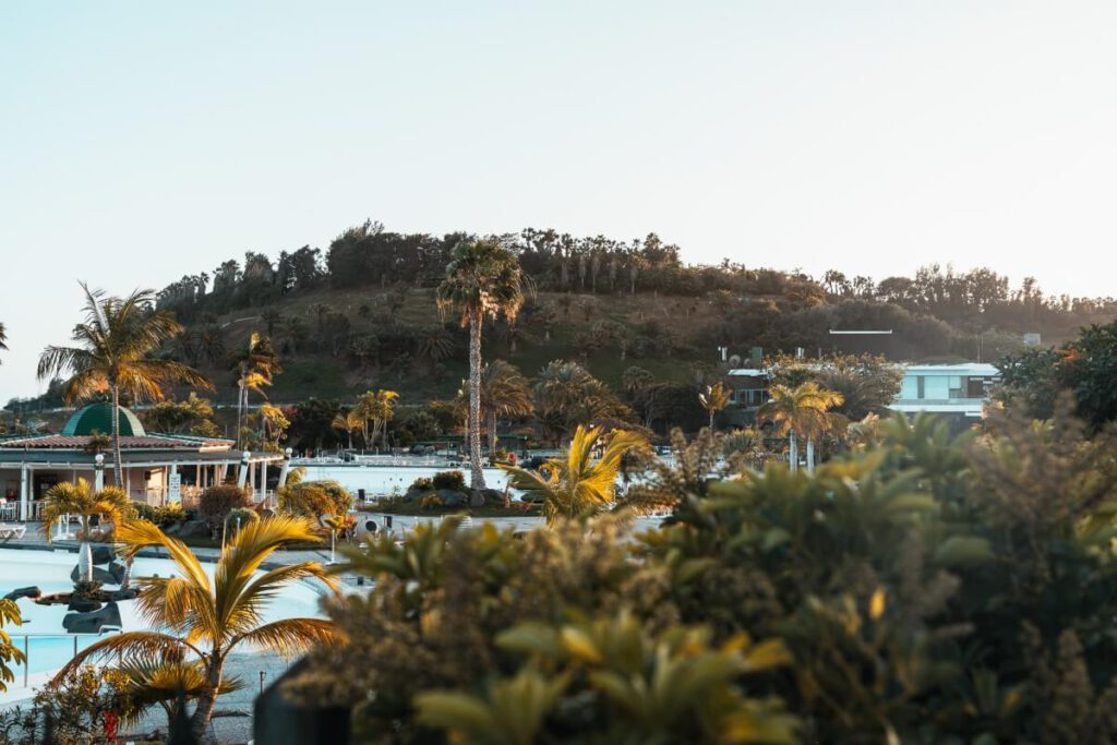 Palmetum in Santa Cruz