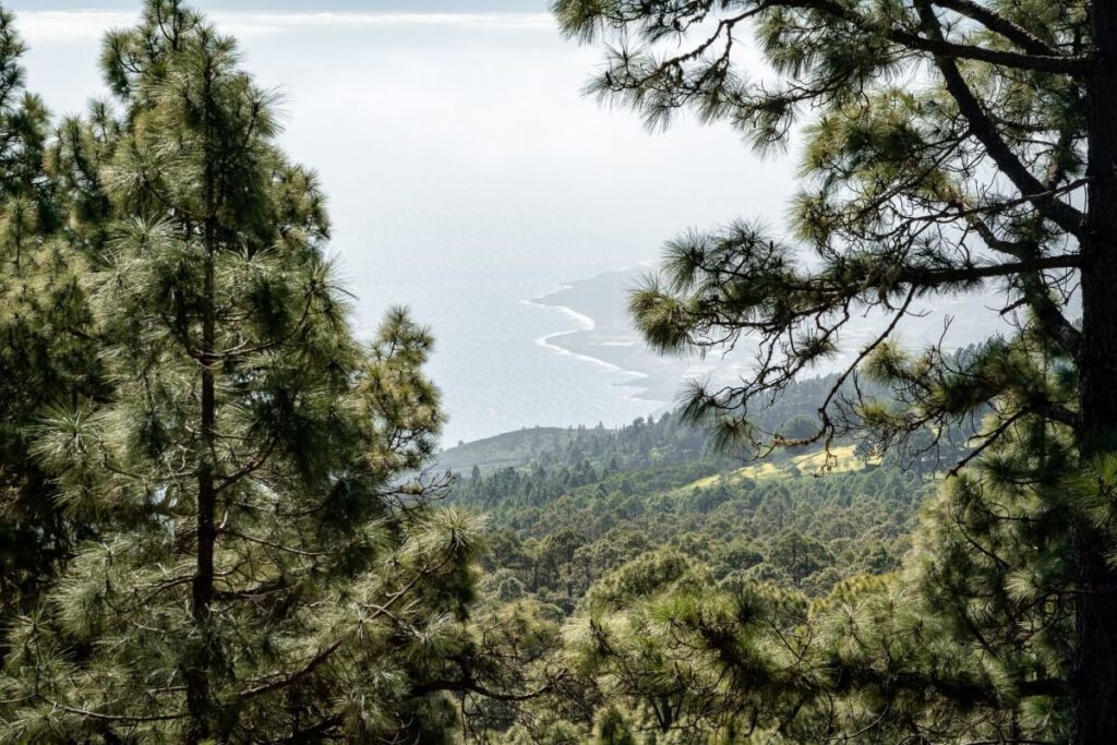Naturpark Corona Forestal mit Blick auf die Ksüte