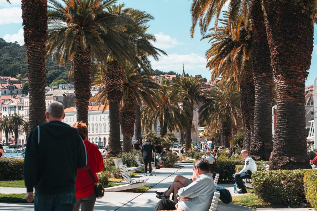 Palmenallee an der Riva in Split