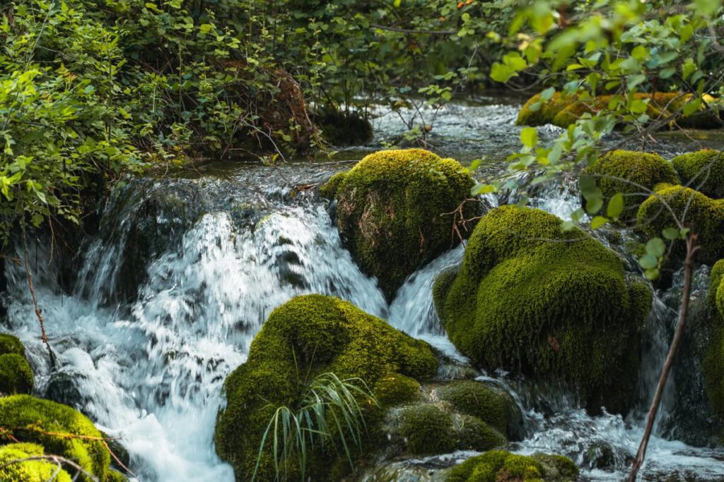üppig grüne Flusslandschaft am Skradinski Buk