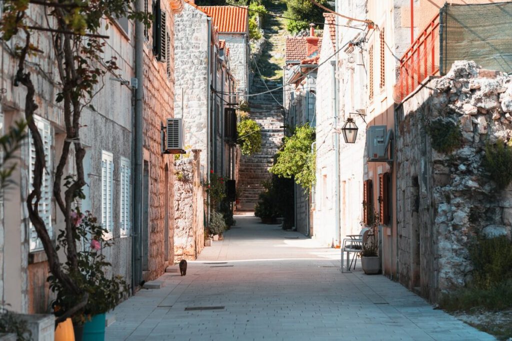 Katze läuft eine leere Gasse entlang in der Altstadt von Ston